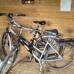 Reetdachhaus In Goos Dranske