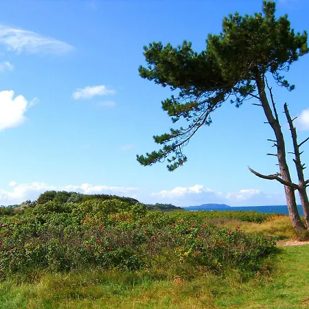 Reetdachhaus In Goos ドランスケ