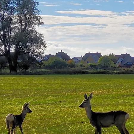 別荘 Reetdachhaus In Goos ドランスケ